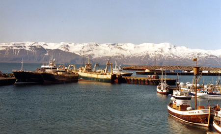 Island_2005_14
