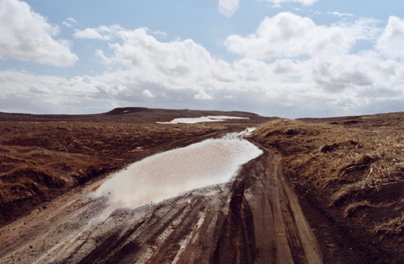 Island_2005_21
