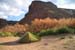 23_BigBend_Campground